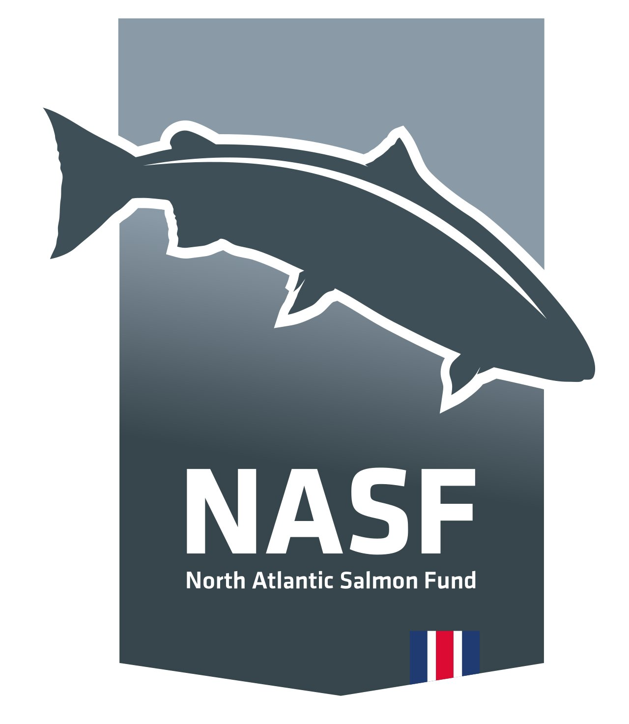 nasf iceland logo
